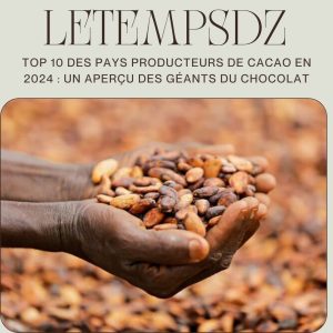 Top 10 des Pays Producteurs de Cacao en 2024 Un Aperçu des Géants du Chocolat