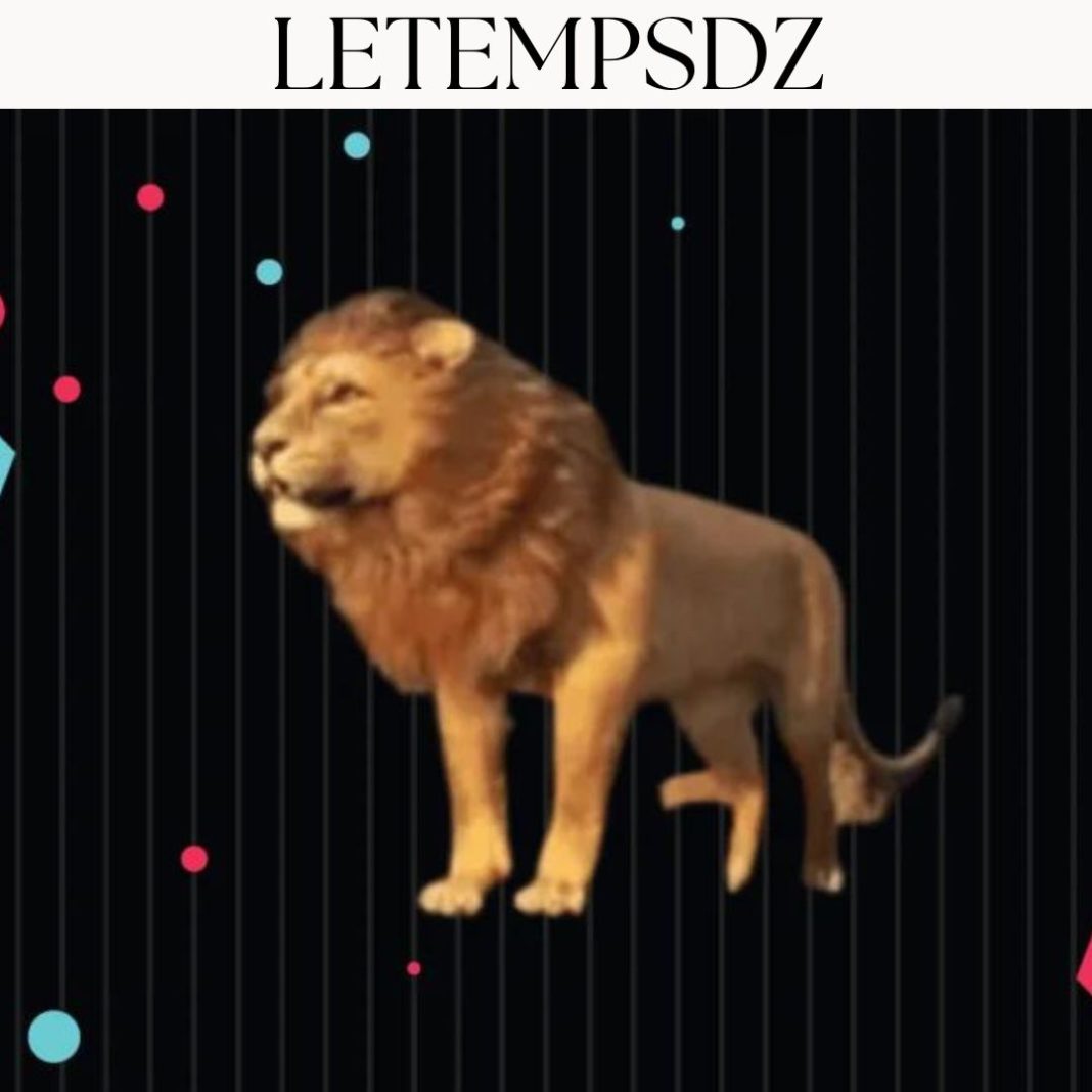 Lion TikTok Prix Tout Ce Que Vous Devez Savoir